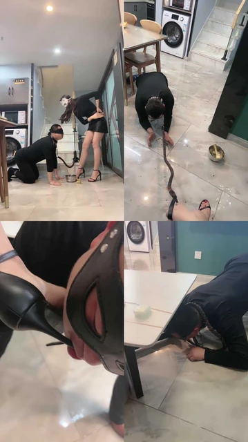 【妆主大大】真实犬化实录-狗盆吃饭/吃真狗粮/高跟凉鞋踩踏