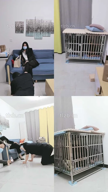 【朱迪S】双S-狗笼囚禁/舔原味jio【双视角版】