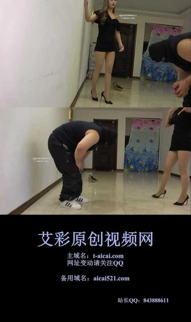 【冷柔】脚背暴踢狗脸