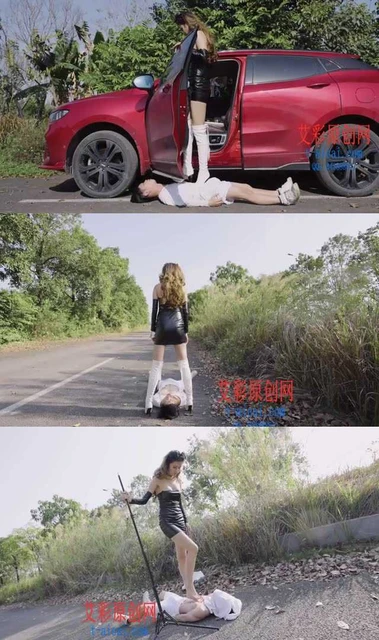 【HPL栖心之栈】【尔岚】尔岚户外虐废狗