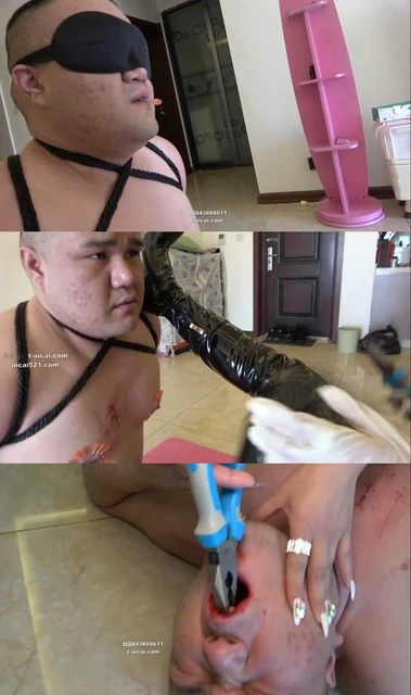 【冷柔】穿刺乳头残忍踩踏，狗嘴拔牙