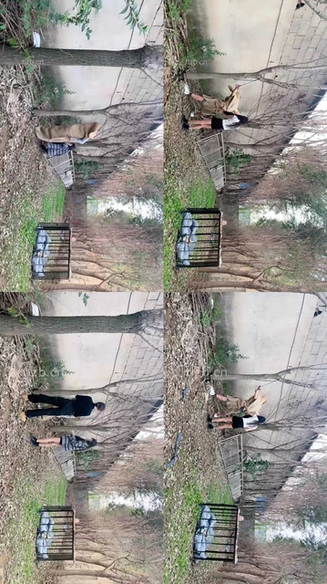 【沅芷】双S圈养犬化-户外暴打【双视角版】