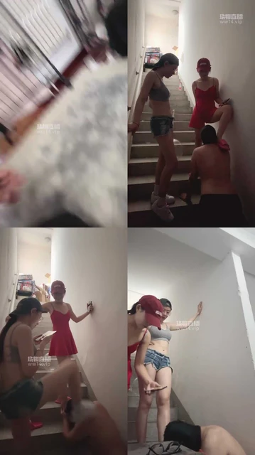 【九片棱角】亲妈和小姨的日常