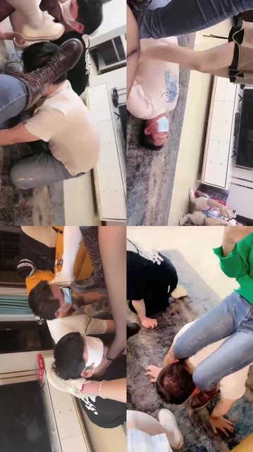 【子衿】多素人学生主群调废物（四视角版本）