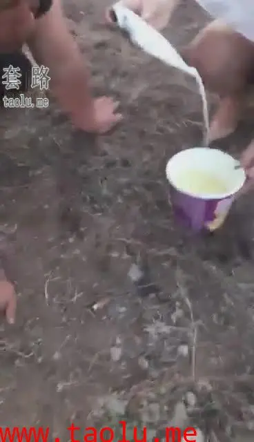 【冷柔S】户外S水香痰泡面极度羞辱最贱畜生