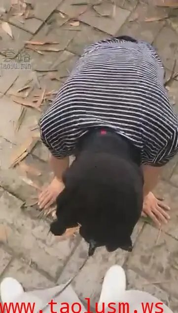 【酷奇大脑斧】TJ：首次双S户外遥老狗（上）刺激！