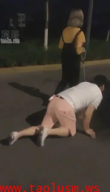 【00后冰冰女王】霸气左右开弓耳光打爽了遛狗