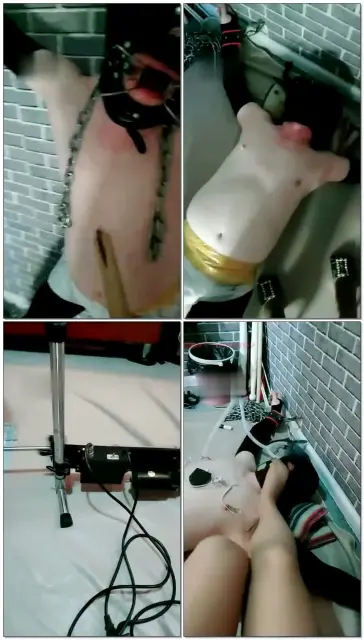 【东营天香百合】没黑没白的折磨