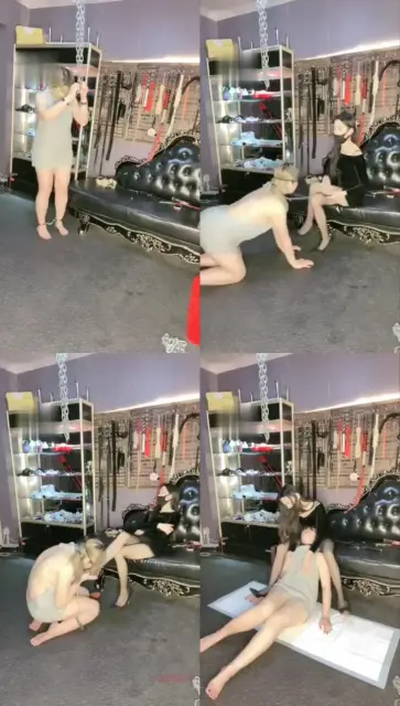 【女王盟主】御姐调教骚母狗