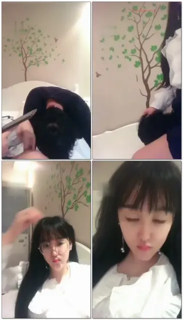 【辛迪无情女王】一条狗的哀求，坐脸篇