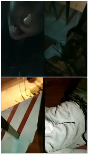 【JOJO&异瞳】双S素人户外调狗