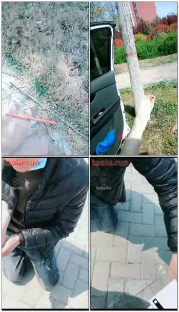 【聊城魅影】野外玩玩圈养的锁nu