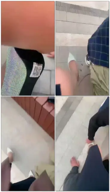 【悠然s】公园溜狗，户外调狗