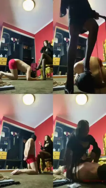 【不美S】高贵公主折磨废物