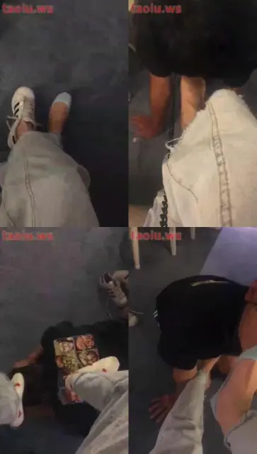 【bebe】TJ宠物狗，舔脚