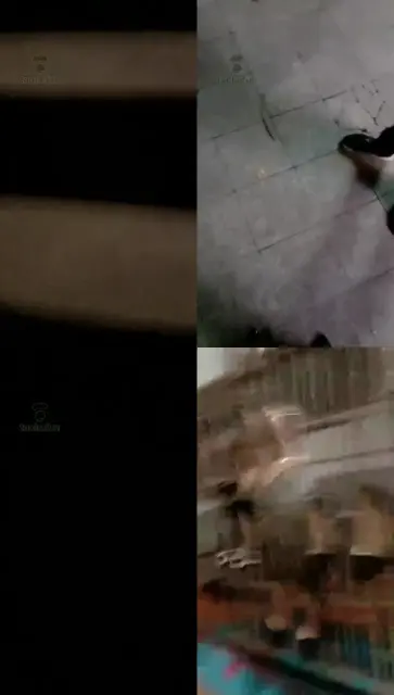 【白狐s】网袜户外调教