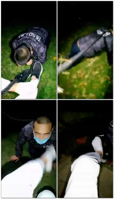 【晶晶S】双S野外遛狗