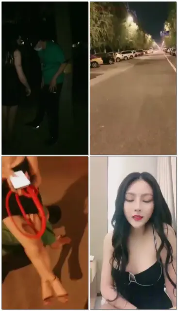 【诺曦】带着自家的宠物出门遛弯