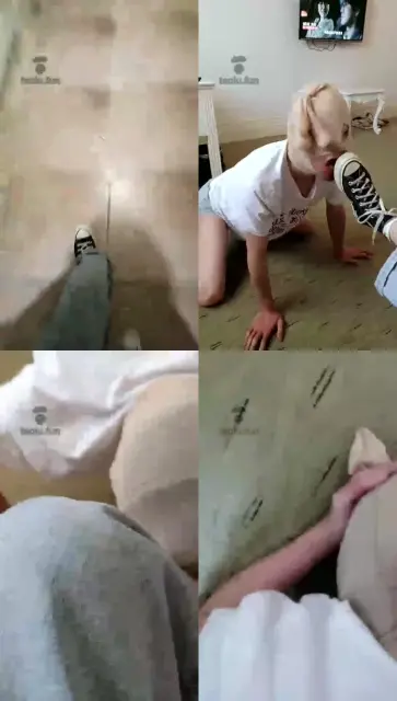 【哈宝】修复版 玩一只自称王者的狗 