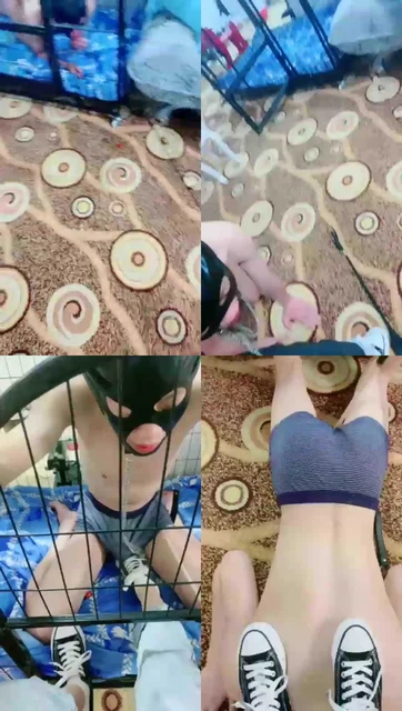 【沈阳的一诺s】贱狗，帆布鞋狗笼调教