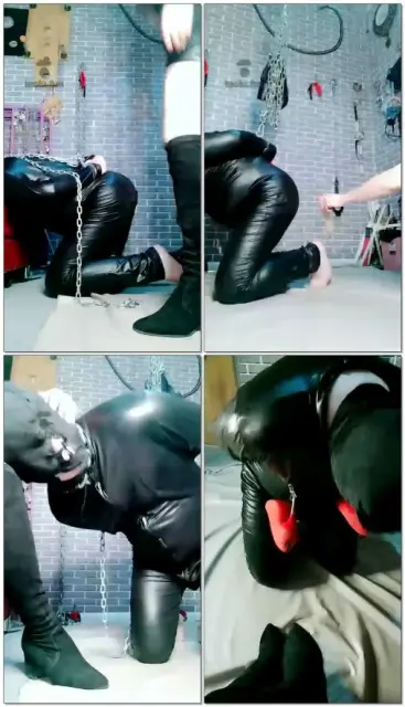 【天香百合S】暴虐骚狗往死里调教