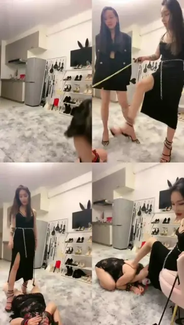 【沐夏大大】羞辱贱狗 