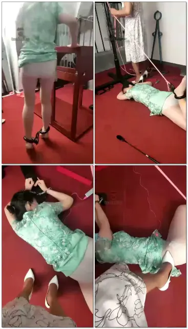 【束之高阁】打采桑屁股