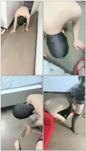 【女王陛下】两闺蜜双s首调