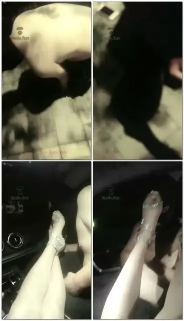 【皮鞭下的诱惑S】户外虐人形犬,含住高贵鞋跟【32分钟】【普清】