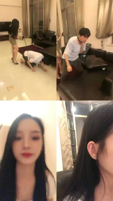 【倾倾小主】搜查犬小蔡协助主人开始侦查工作【70分钟】【普清】