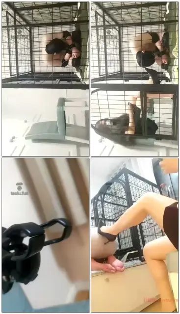 【Verin维因】看看锁了好几天的贱奴