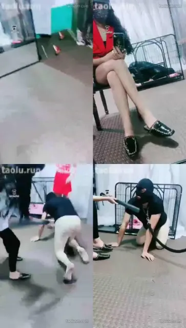 【茹一S】调教狗笼贱狗