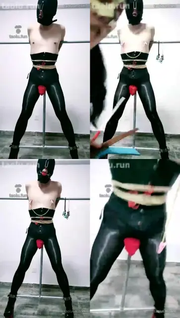 【猫女殿下s】固定SP虐乳