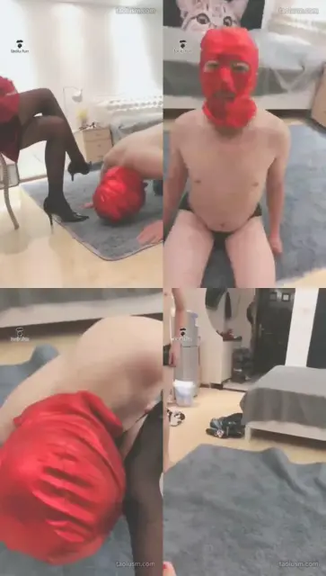 【贵阳冷御大大】老狗就是溅史上最笨的傻狗