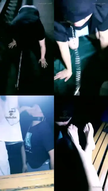 【雅儿】深夜户外遛狗