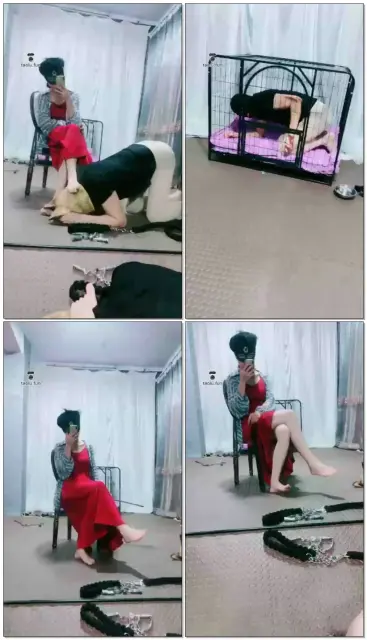【茹一S】调狗舔脚狗头奴狗笼