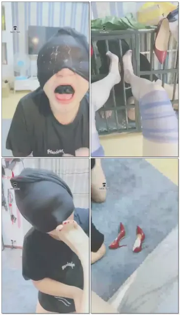 【妖妖学姐】用最简单的方式就可以征服狗狗