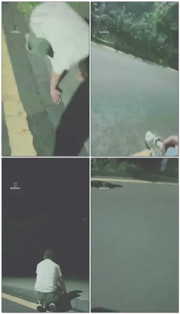 【贵阳妖妖学姐】户外驯犬