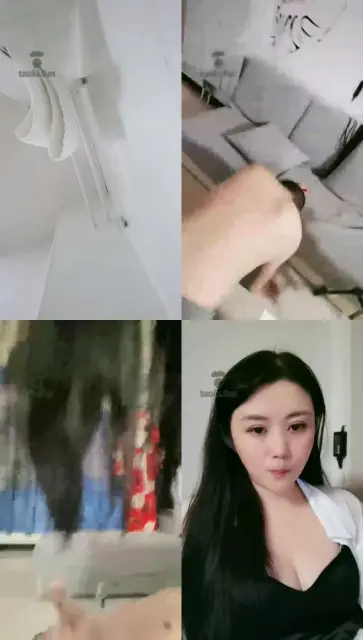 【豆爷S】夜调黄金狗