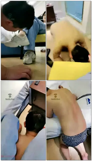 【沐夏大大】随意虐狗调理心情