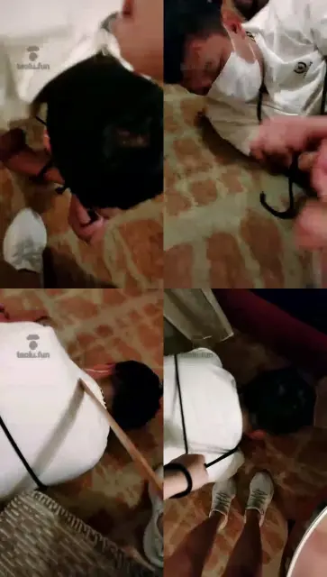 【嘉昕S】你们的爱宠,二哈已上线运动鞋调狗【27分钟】】