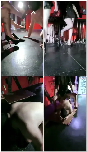 【SMqueenwuhan】双s带狗子玩游戏