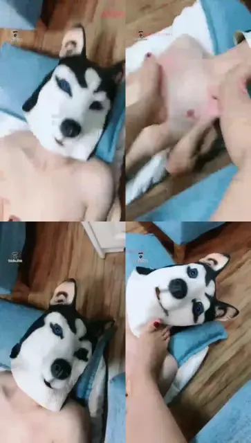 【郭照Queen】二哈乖乖伺候【续】