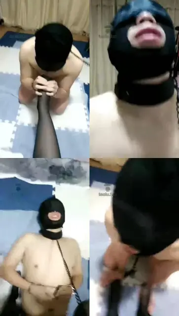 【天津捌爷S】训练恋足狗狗