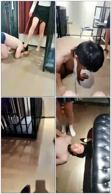 【JOJO】三S群调家奴