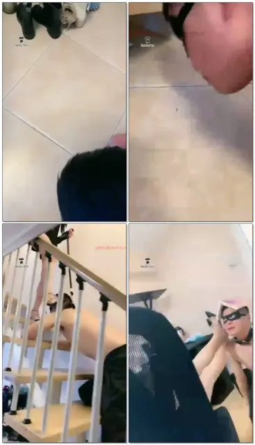 【傲旋S】套路首调，楼梯遛狗，喂食，烟灰缸