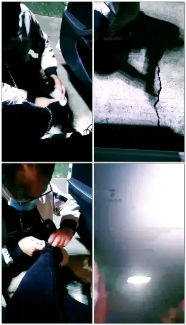 【阳光夫妻S】户外调狗