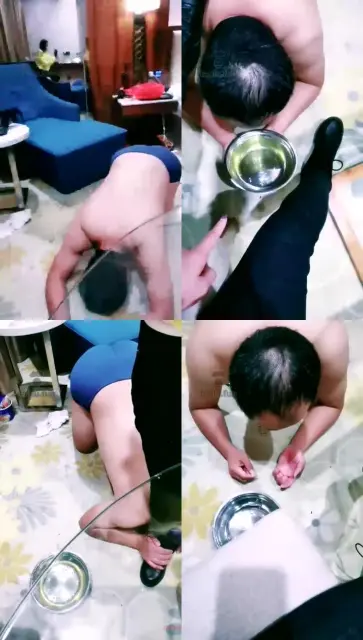 【阳光夫妻S】圣水强制干了这一盆！