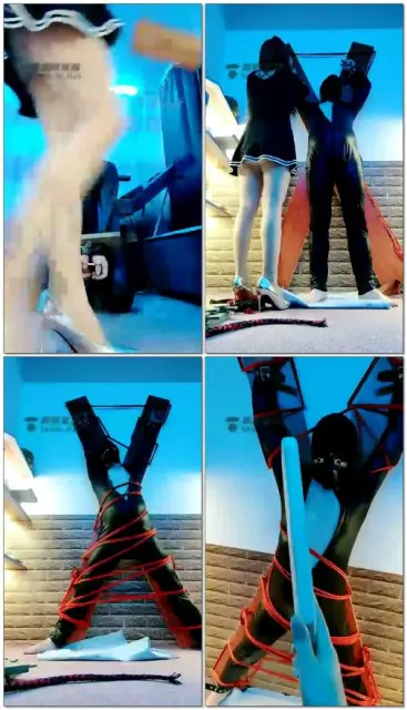 【东营天香百合】暴打犯贱狗