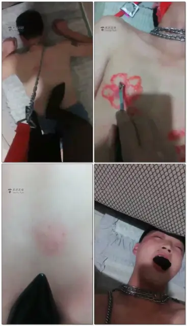 【珍惜女王】狗奴的日常